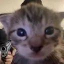 ss_catgun