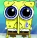 spongesob