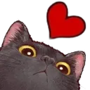 CatHeartLove
