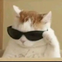 cat_deokinh Discord emoji