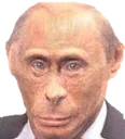 monkeputin
