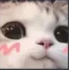 cute_hehe