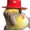 birbwithhat
