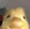 lurkingduck lurkingduck