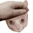 TobySpeed