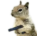 sqowol sqowol