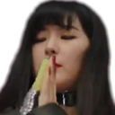 gotSeulgiPray Discord emoji