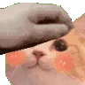 cattoblushpett