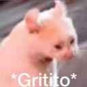 Gritito_FDB Discord emoji