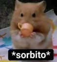 sorbito_FDB Discord emoji