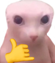 piolacat_FDB Discord emoji