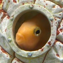 whatudoinginmywaters Discord emoji