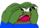 peepoScared peepoScared