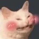 ehe