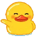 hey hey