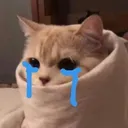 kittiecryweep