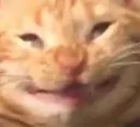 EE