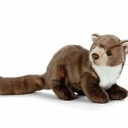 weaselN Discord emoji