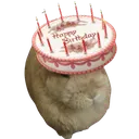 bunbirthday2