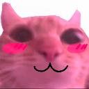 flushedcat Discord emoji