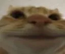 Thisisfine