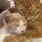 CE_Cuddles4U2