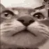 CE_FaceTime