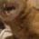 CE_Agony