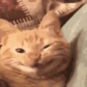 CE_WholesomeSmile
