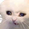 cri
