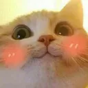 CE_Blush3 CE_Blush3