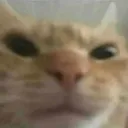 CE_Anger3 CE_Anger3