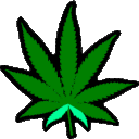 Maconha4i20