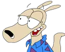 rockocareless