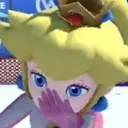 pleek