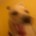 ahh