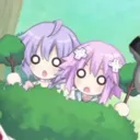 shocknepu