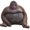 monke