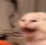 RAAAAAAAAAA