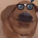 smartdoggo smartdoggo