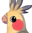 Cockatiel5 Cockatiel5