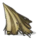cloth
