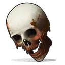 skull