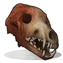 skull