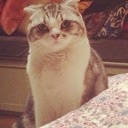 2meredith Discord emoji