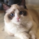 2benji Discord emoji
