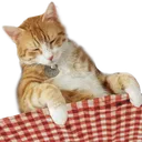 anyaBedge Discord Emoji