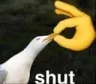 SHUT