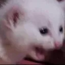 z_AAAA