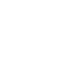 tick